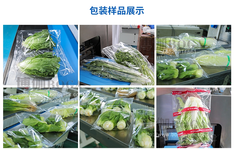 BG-600XDSF下走膜蔬菜